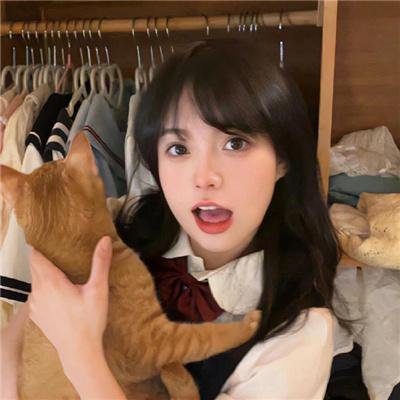追讨者